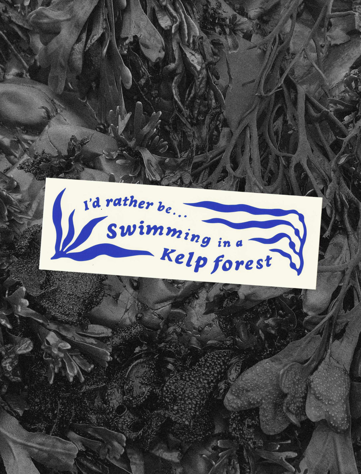 Kelp Forest Bumper Sticker
