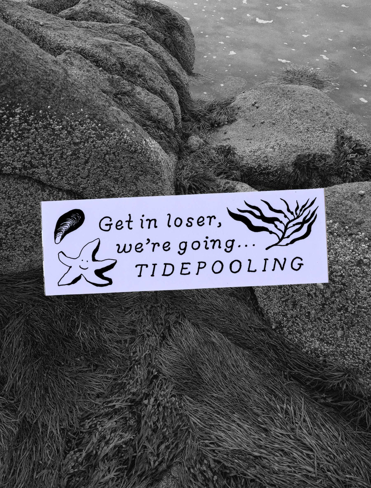 Tidepooling Bumper Sticker