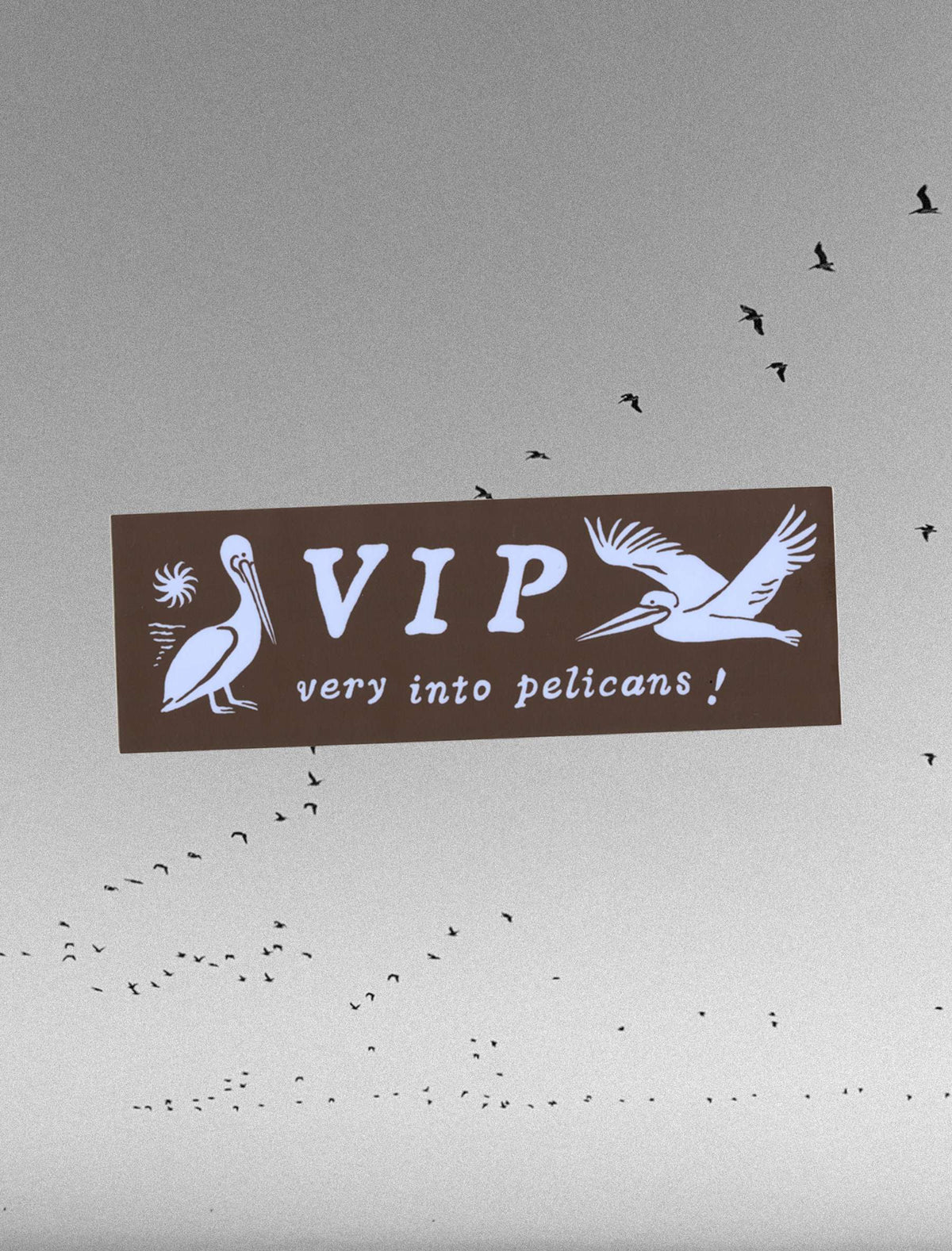 VIP Bumper Sticker