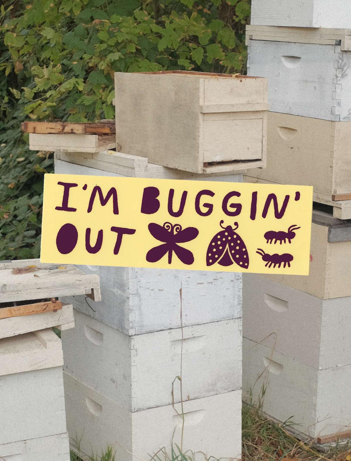 I'm Buggin' Out Bumper Sticker
