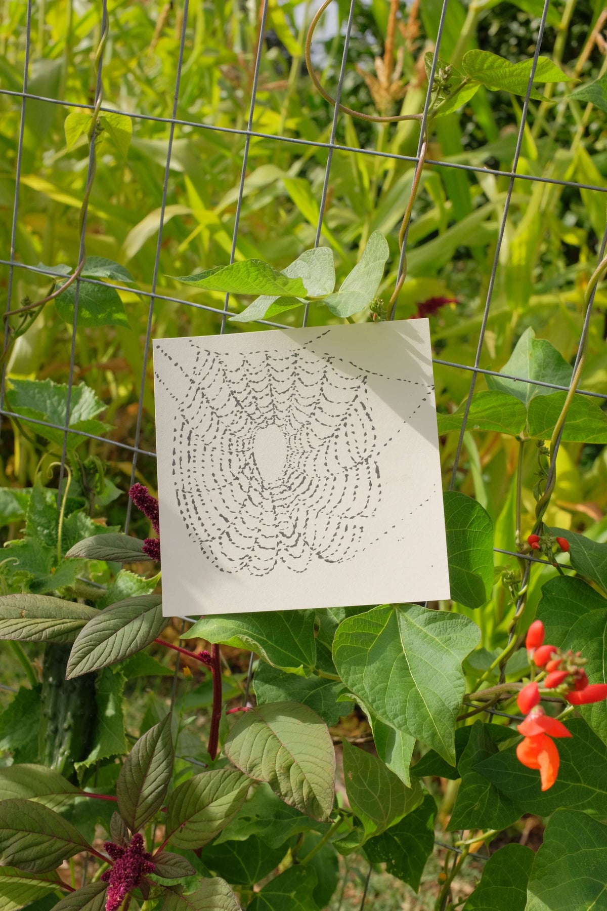 Spider Web Print