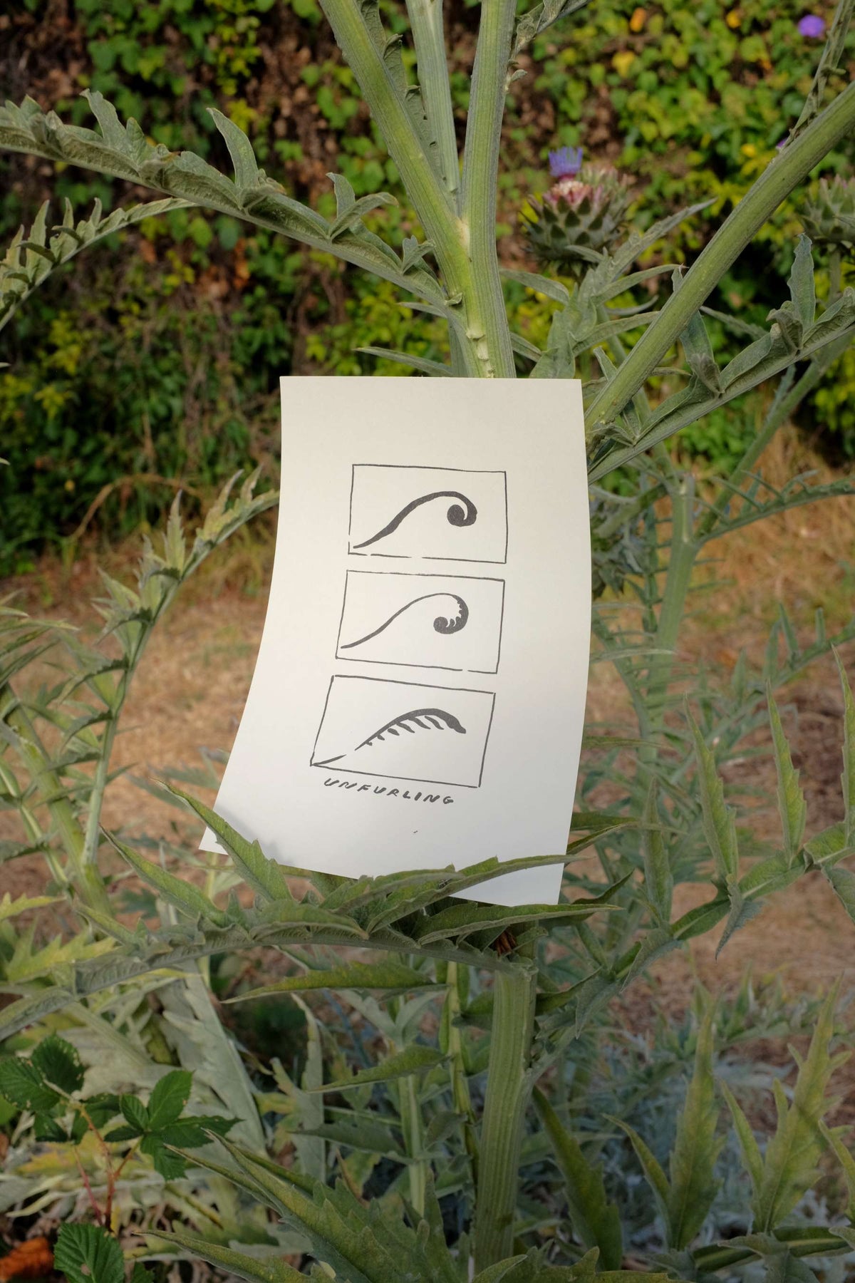 Unfurling print
